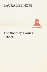 bokomslag Bobbsey Twins at School