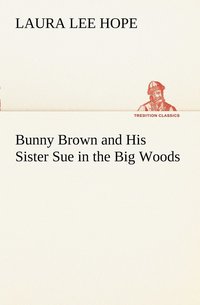bokomslag Bunny Brown and His Sister Sue in the Big Woods