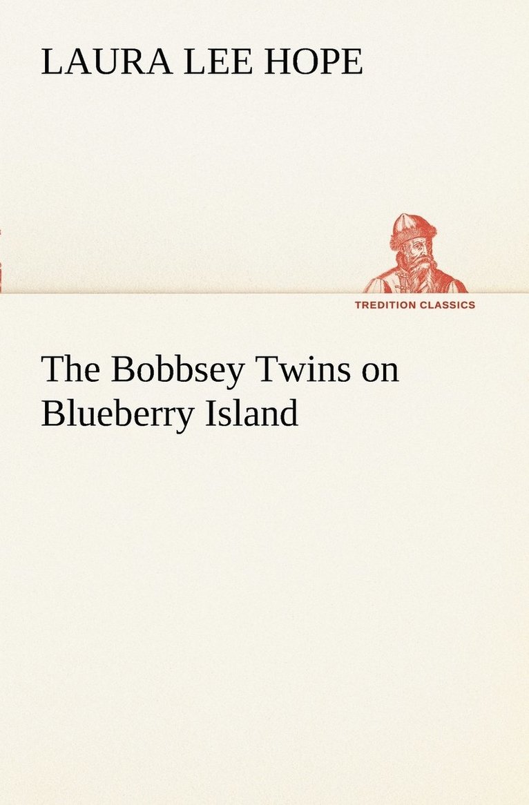 Bobbsey Twins on Blueberry Island