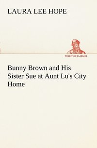 bokomslag Bunny Brown and His Sister Sue at Aunt Lu's City Home