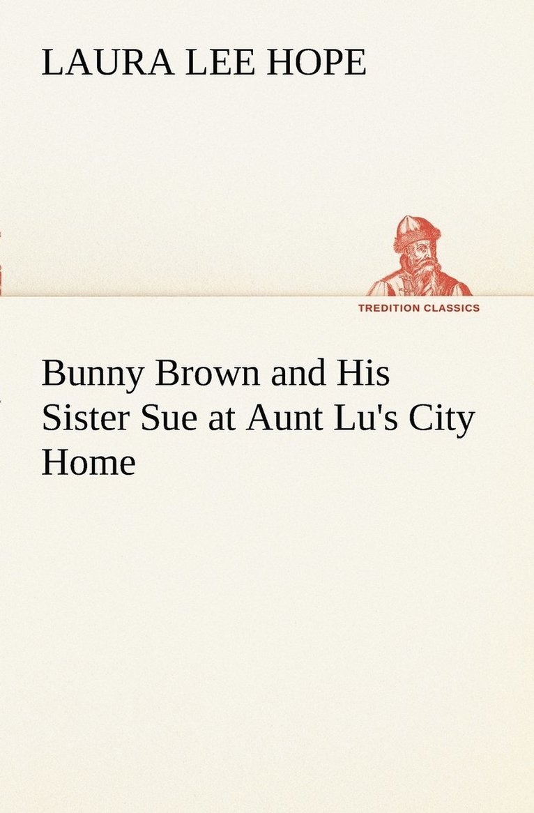 Bunny Brown and His Sister Sue at Aunt Lu's City Home 1