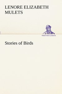 bokomslag Stories of Birds