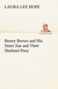 bokomslag Bunny Brown and His Sister Sue and Their Shetland Pony