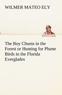 bokomslag The Boy Chums in the Forest or Hunting for Plume Birds in the Florida Everglades