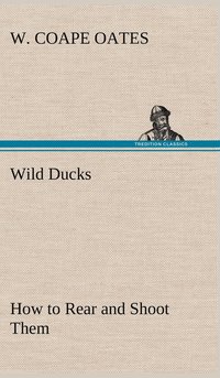 bokomslag Wild Ducks How to Rear and Shoot Them