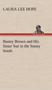 bokomslag Bunny Brown and His Sister Sue in the Sunny South