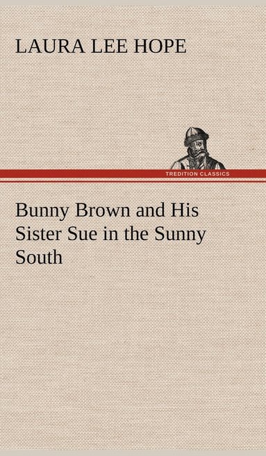 bokomslag Bunny Brown and His Sister Sue in the Sunny South