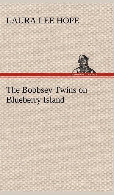 Laura Lee Hope - Bobbsey Twins on Blueberry Island, Inbunden