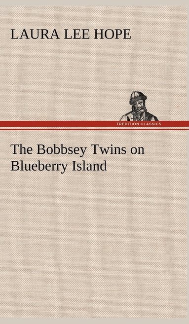 bokomslag The Bobbsey Twins on Blueberry Island