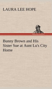 bokomslag Bunny Brown and His Sister Sue at Aunt Lu's City Home