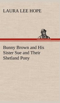 bokomslag Bunny Brown and His Sister Sue and Their Shetland Pony