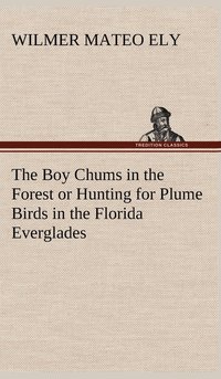 bokomslag The Boy Chums in the Forest or Hunting for Plume Birds in the Florida Everglades