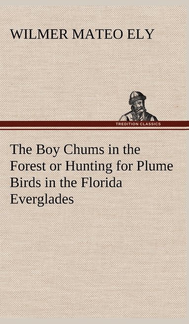 bokomslag Boy Chums in the Forest or Hunting for Plume Birds in the Florida Everglades