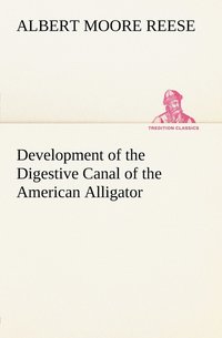 bokomslag Development of the Digestive Canal of the American Alligator