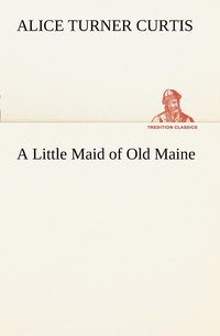 bokomslag A Little Maid of Old Maine