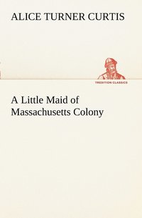 bokomslag A Little Maid of Massachusetts Colony