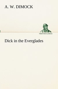 bokomslag Dick in the Everglades