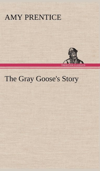 bokomslag The Gray Goose's Story