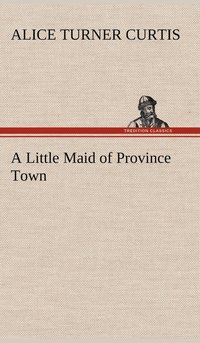 bokomslag Little Maid of Province Town