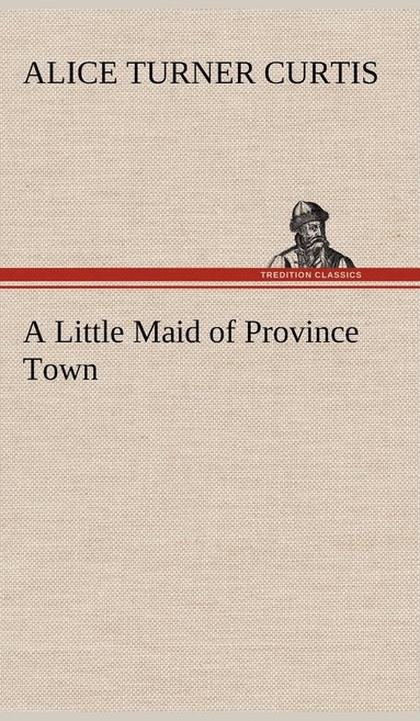 bokomslag Little Maid of Province Town