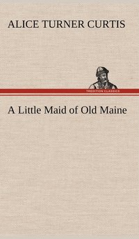 bokomslag A Little Maid of Old Maine