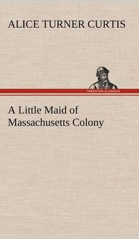 bokomslag A Little Maid of Massachusetts Colony