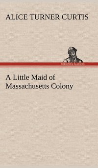 bokomslag Little Maid of Massachusetts Colony