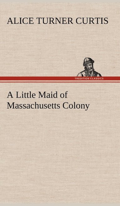 bokomslag Little Maid of Massachusetts Colony