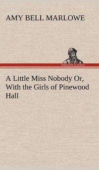 bokomslag A Little Miss Nobody Or, With the Girls of Pinewood Hall
