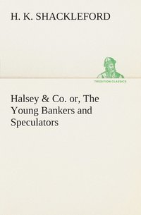 bokomslag Halsey & Co. or, The Young Bankers and Speculators