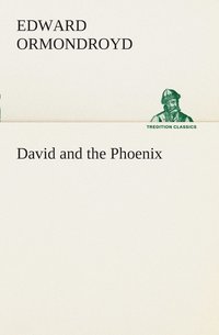 bokomslag David and the Phoenix