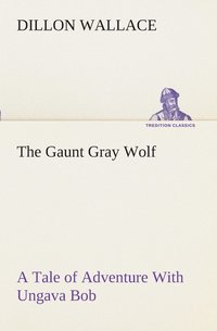 bokomslag The Gaunt Gray Wolf A Tale of Adventure With Ungava Bob