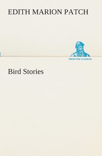 bokomslag Bird Stories