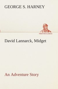 bokomslag David Lannarck, Midget An Adventure Story