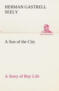 bokomslag A Son of the City A Story of Boy Life