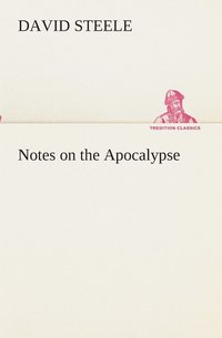 bokomslag Notes on the Apocalypse