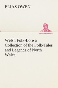 bokomslag Welsh Folk-Lore a Collection of the Folk-Tales and Legends of North Wales