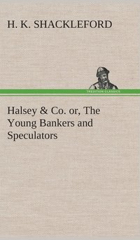 bokomslag Halsey & Co. or, The Young Bankers and Speculators