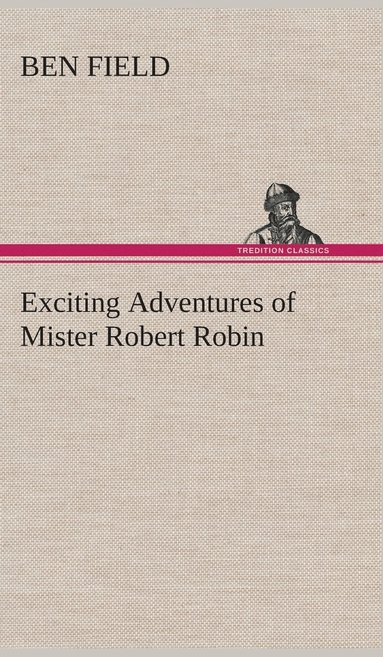 bokomslag Exciting Adventures of Mister Robert Robin