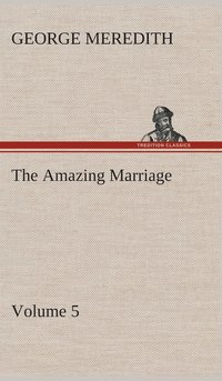 bokomslag Amazing Marriage - Volume 5