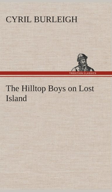 bokomslag Hilltop Boys on Lost Island