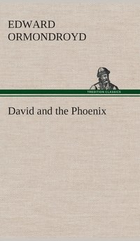 bokomslag David and the Phoenix