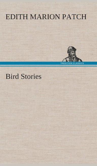 bokomslag Bird Stories