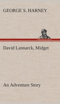 bokomslag David Lannarck, Midget An Adventure Story