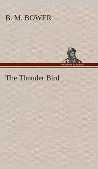 bokomslag Thunder Bird