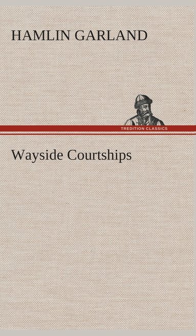 bokomslag Wayside Courtships