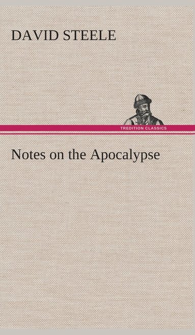 bokomslag Notes on the Apocalypse