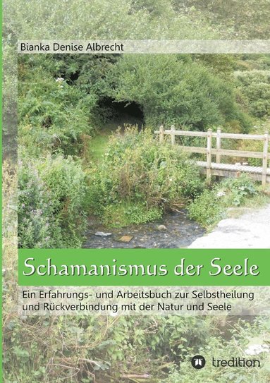 bokomslag Schamanismus der Seele