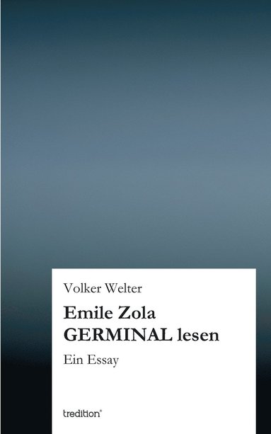 bokomslag Emile Zola GERMINAL lesen