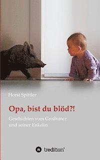 bokomslag Opa, bist du blöd?!